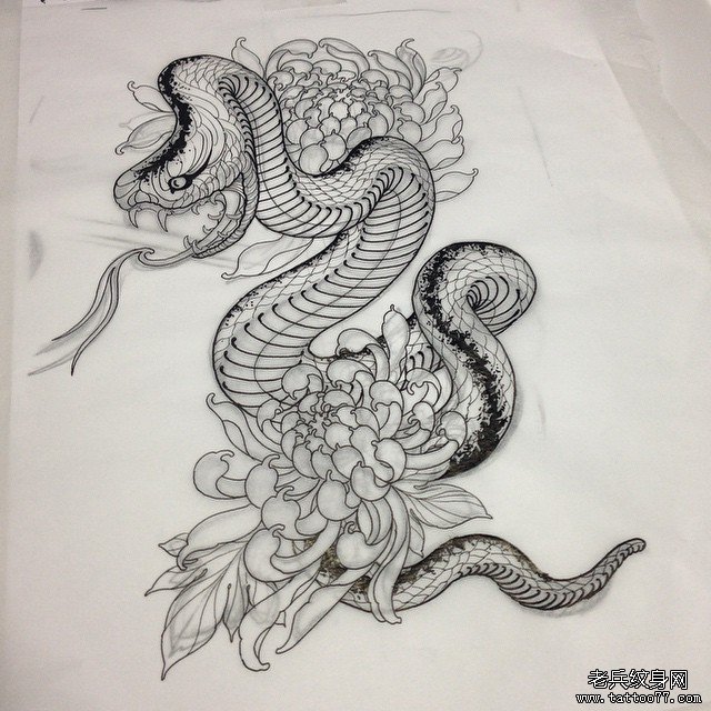 school 蛇菊花纹身图案手稿
