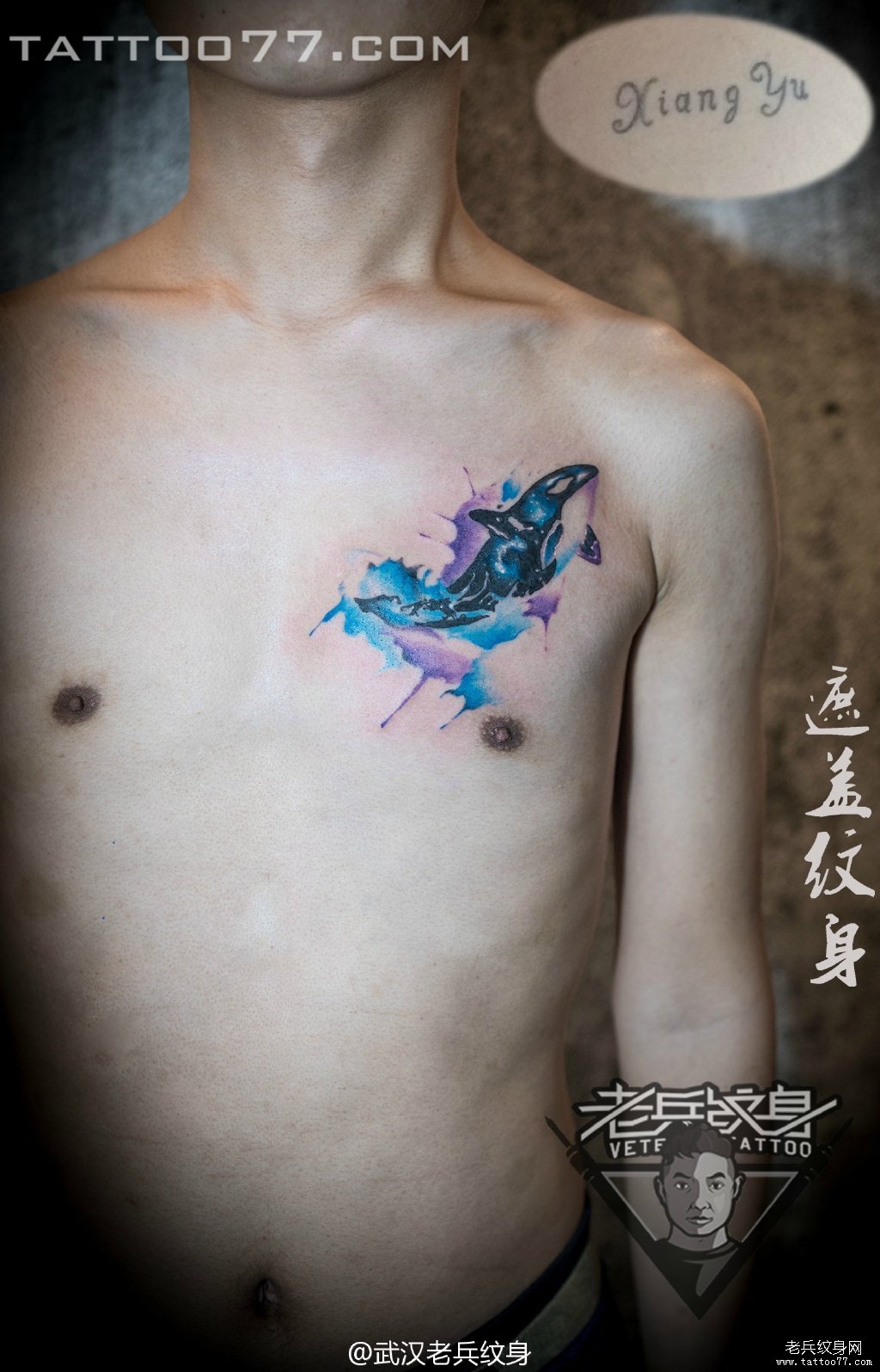 胸口泼墨海豚纹身图案作品遮盖旧纹身