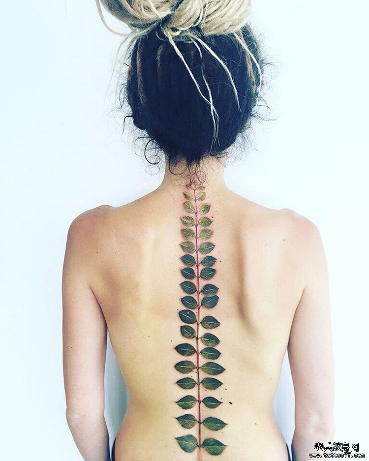 背部脊柱树叶纹身图案