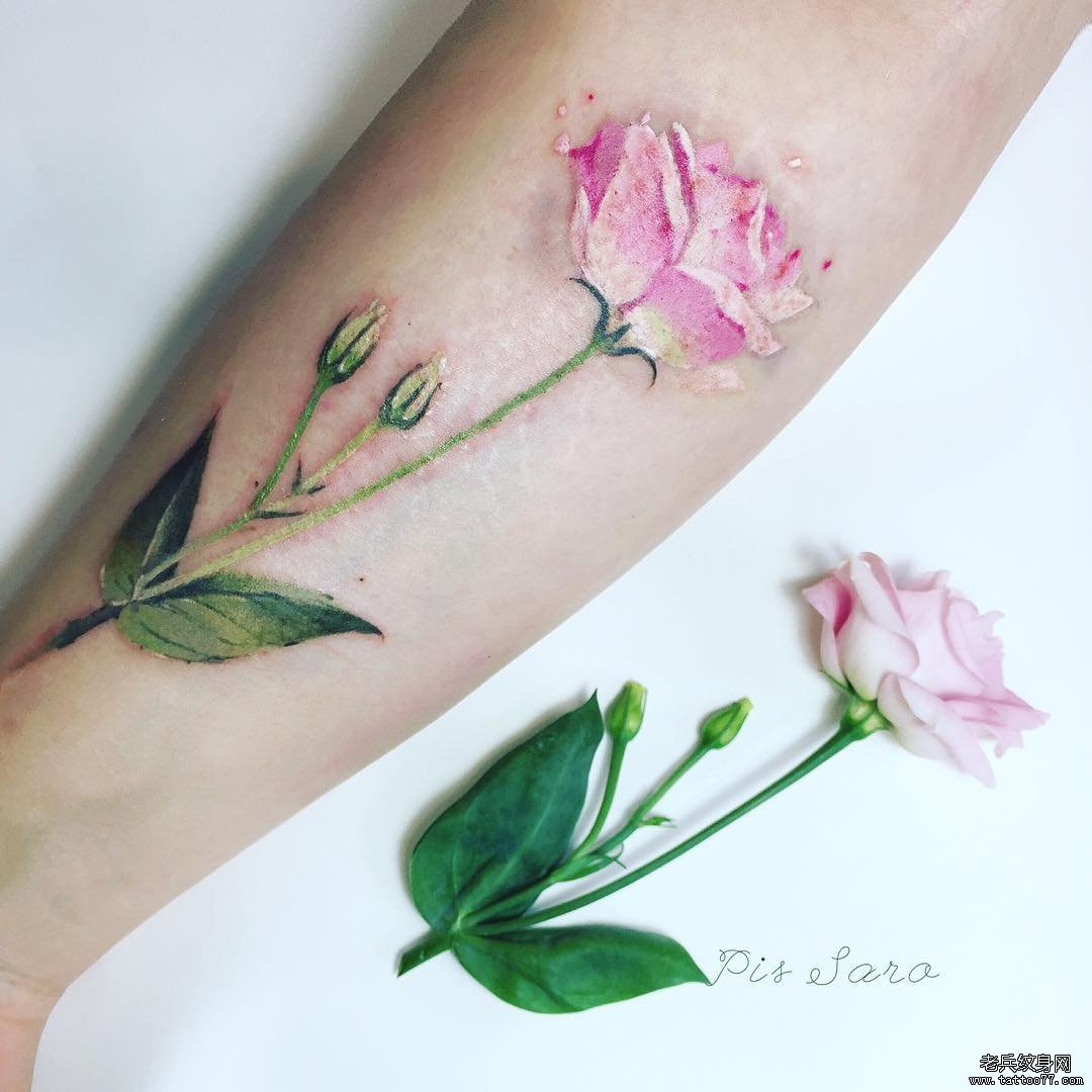 小臂花卉小清新彩色纹身图案