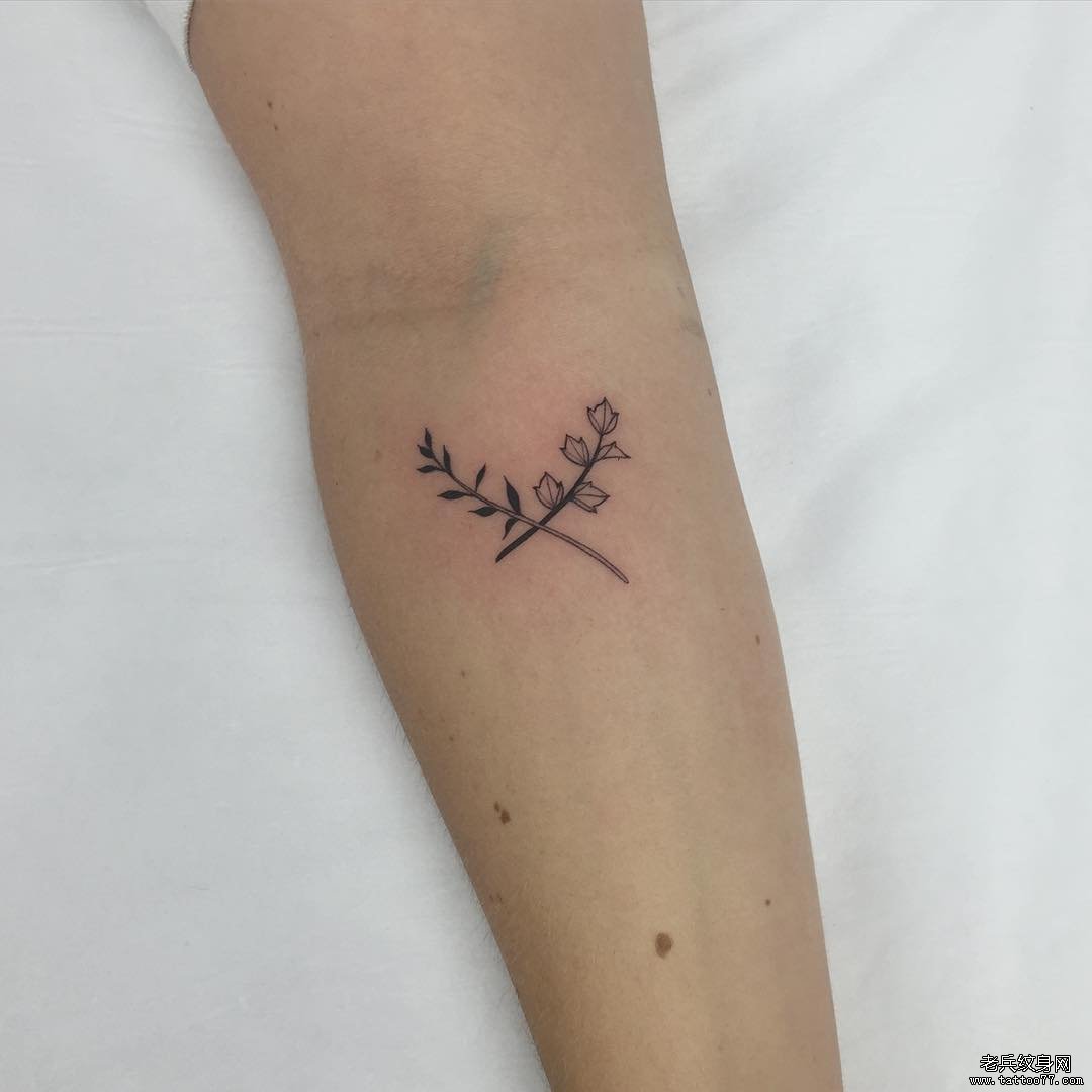 小臂小清新简单花卉纹身图案