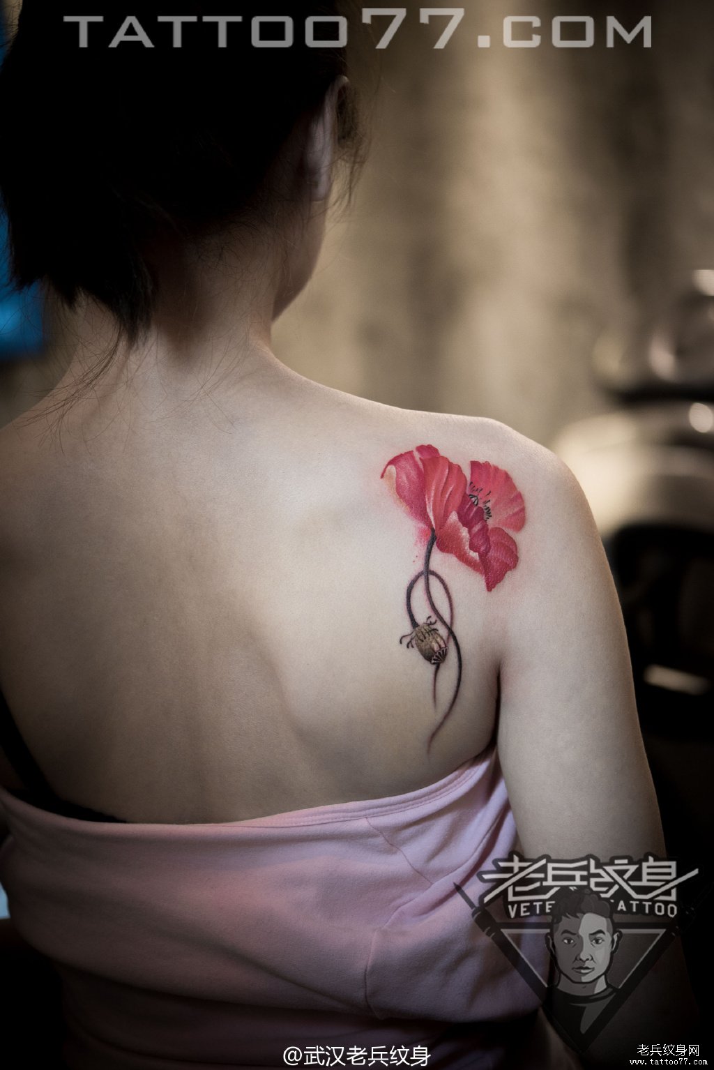 肩背漂亮的罂粟花纹身图案作品