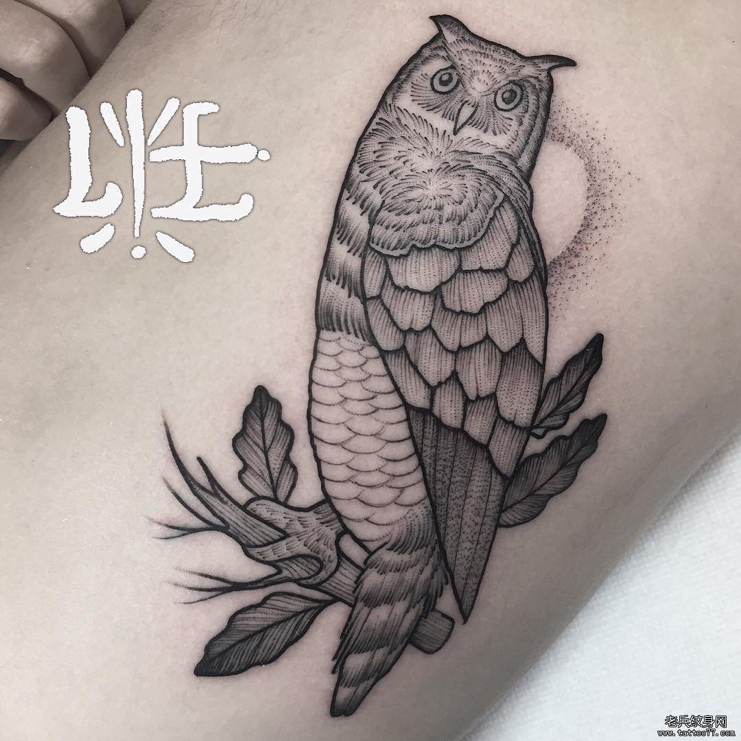 大腿猫头鹰点刺线条纹身图案