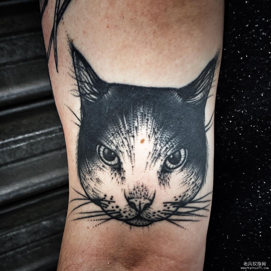 大臂欧美猫纹身图案