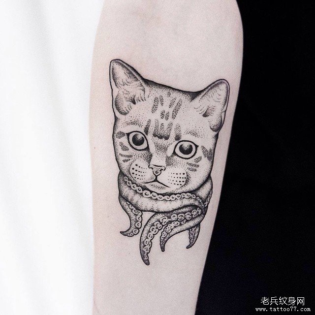 小臂欧美点刺可爱猫纹身图案