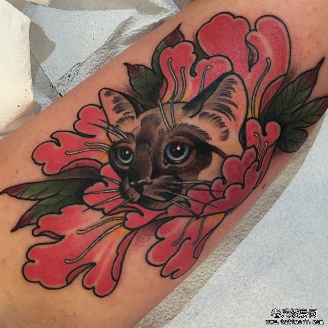 小臂牡丹 猫纹身图案