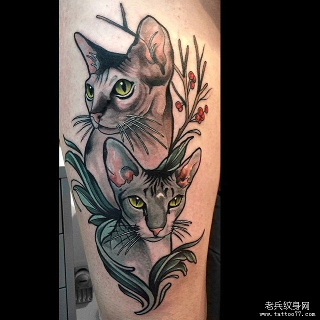 小腿欧美school无毛猫纹身图案