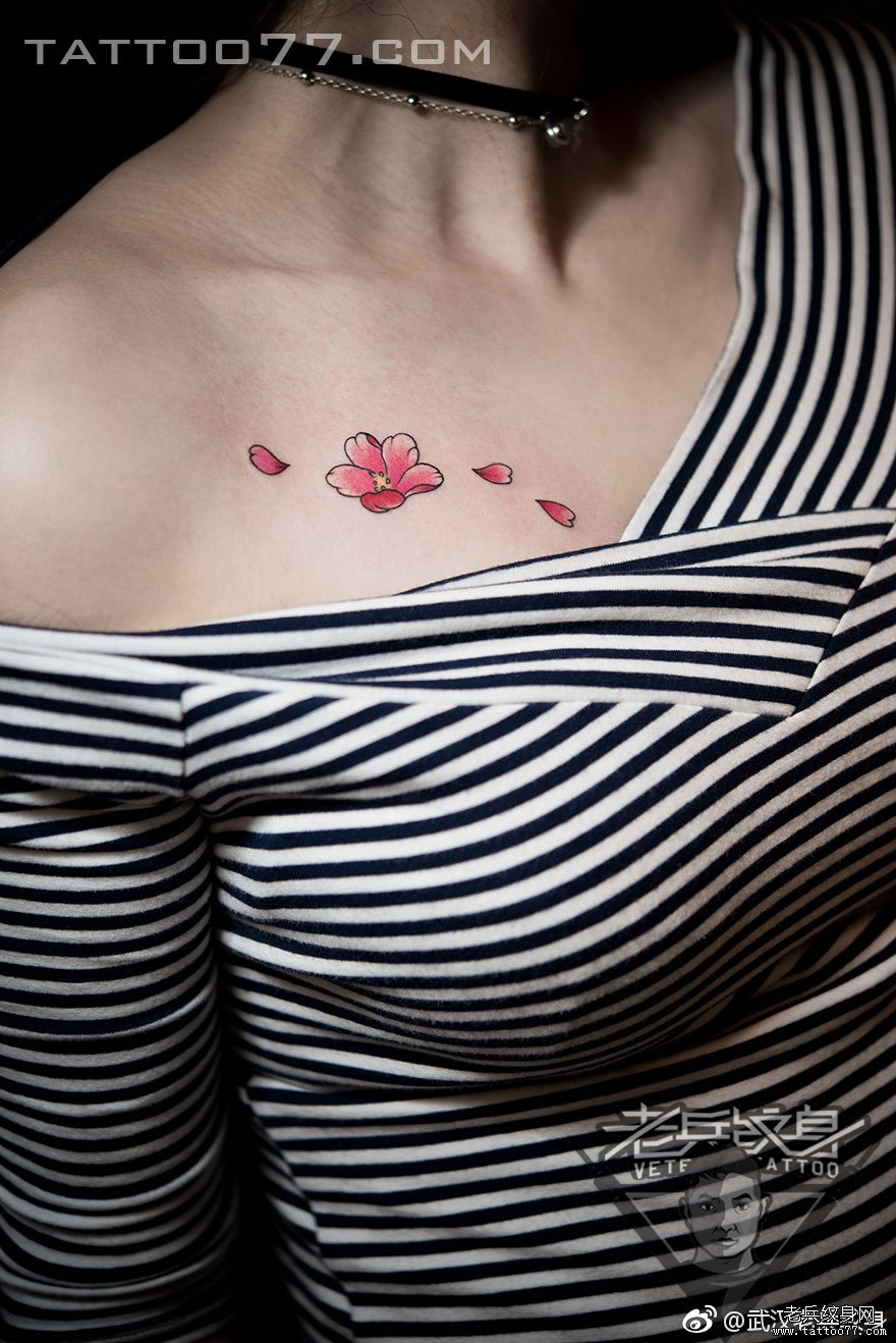胸部樱花纹身图案作品