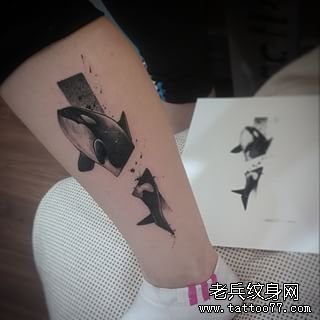 小腿欧美鲸鱼黑灰纹身图案
