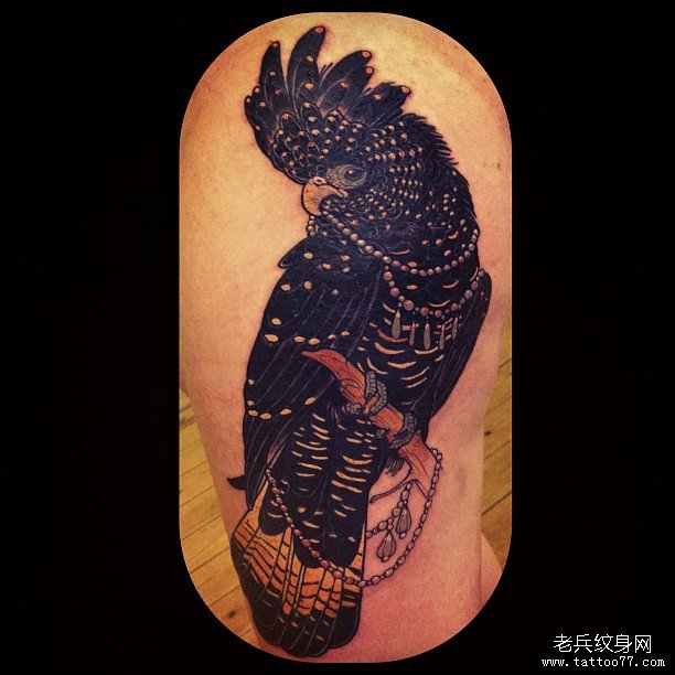 大腿欧美鹦鹉遮盖纹身图案