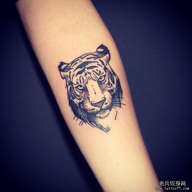 小臂黑灰欧美老虎纹身图案
