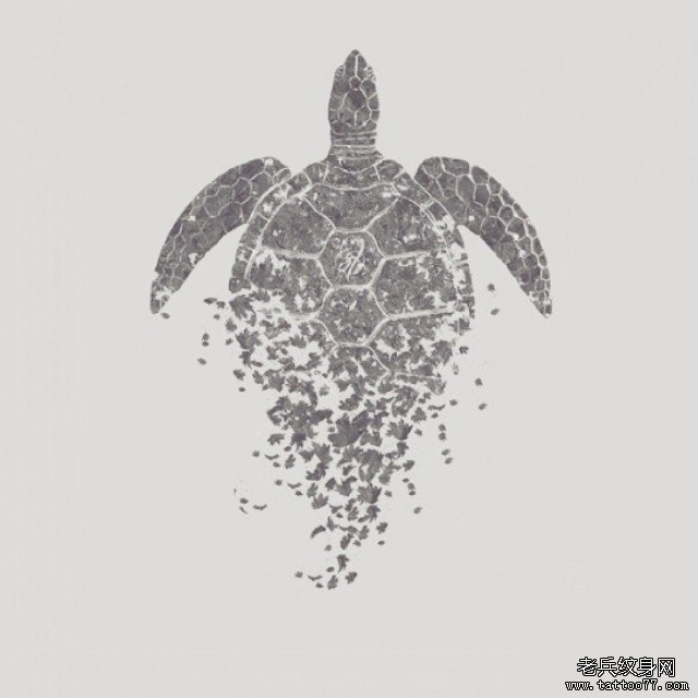 欧美海龟渐变纹身图案手稿