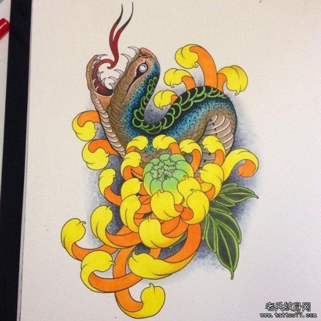 欧美school彩色蛇菊花纹身图案手稿