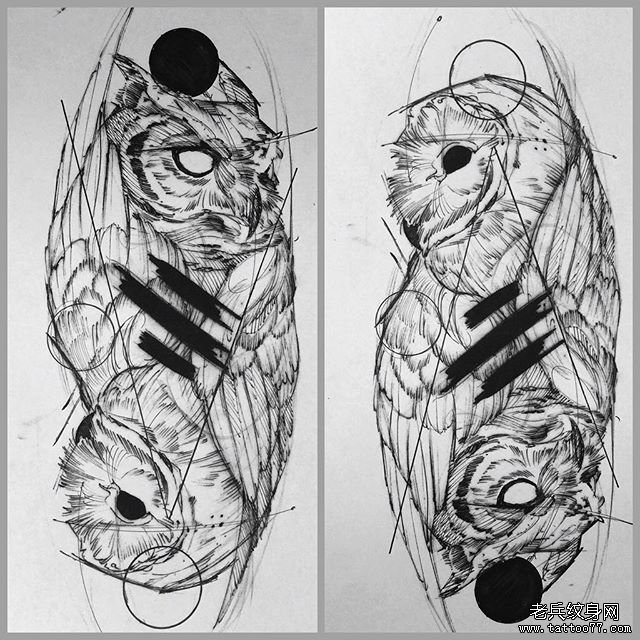 欧美猫头鹰个性纹身图案手稿