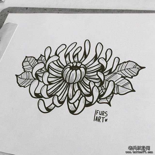 欧美菊花线条纹身图案手稿