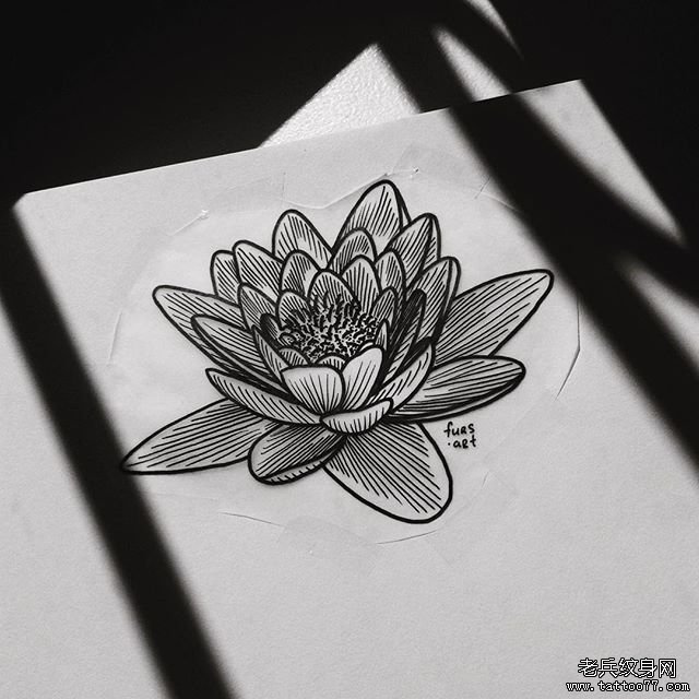 欧美线条莲花纹身图案手稿