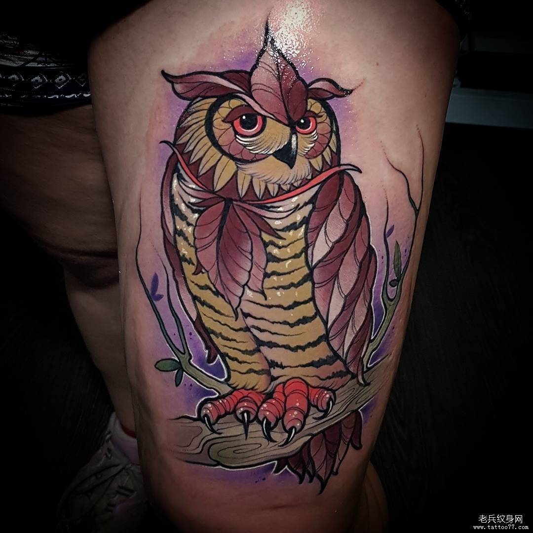 大腿school猫头鹰纹身彩色图案