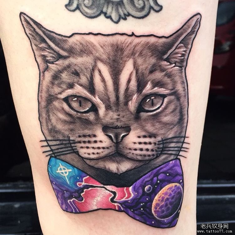 欧美猫星空蝴蝶结纹身图案