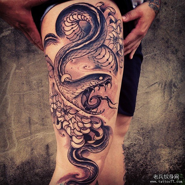 欧美蛇菊花黑灰纹身图案