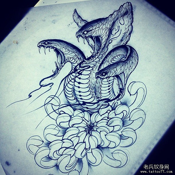 欧美蛇菊花黑灰纹身图案手稿