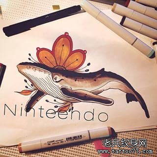 欧美彩色school鲸鱼纹身图案手稿
