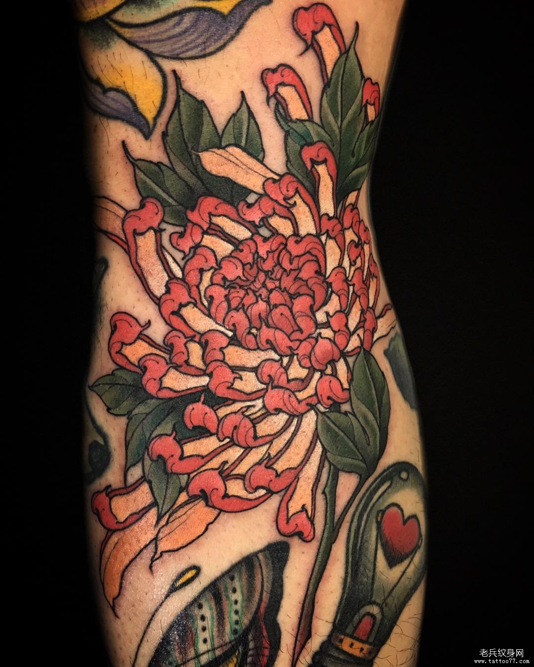 传统彩色菊花纹身图案