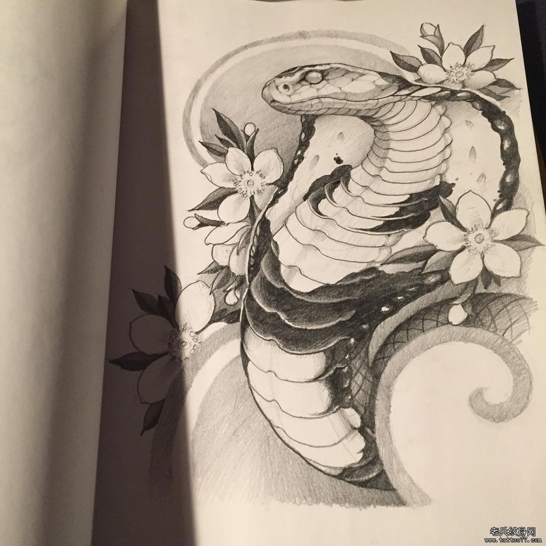 传统蛇黑灰樱花纹身图案手稿