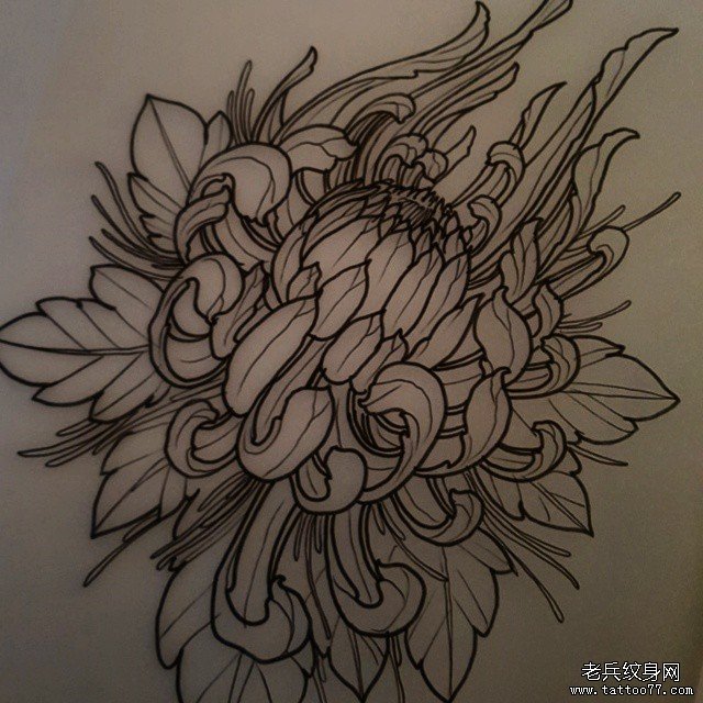 传统菊花纹身图案线稿