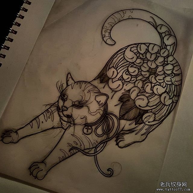 传统猫菊花纹身图案线稿