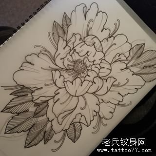 传统牡丹纹身图案线稿