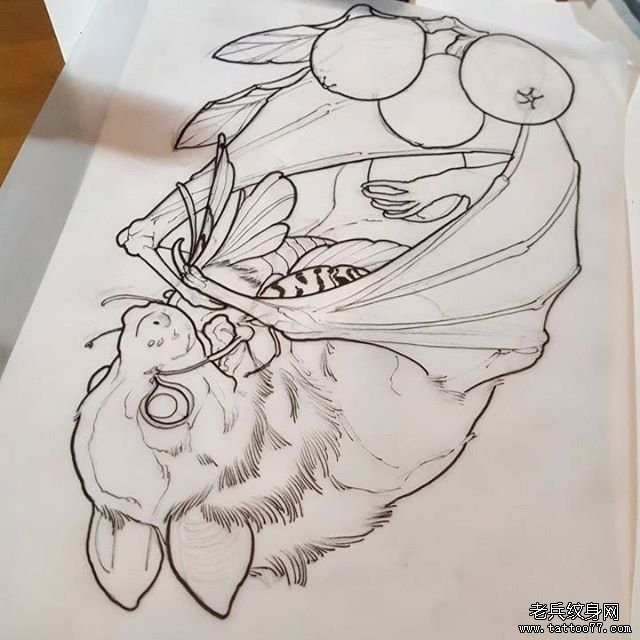 欧美蝙蝠飞蛾纹身school图案线稿