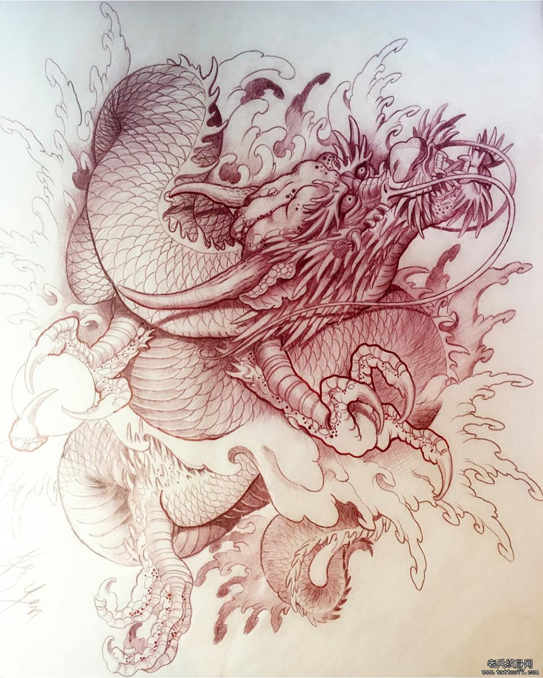 传统纹身图案龙手稿