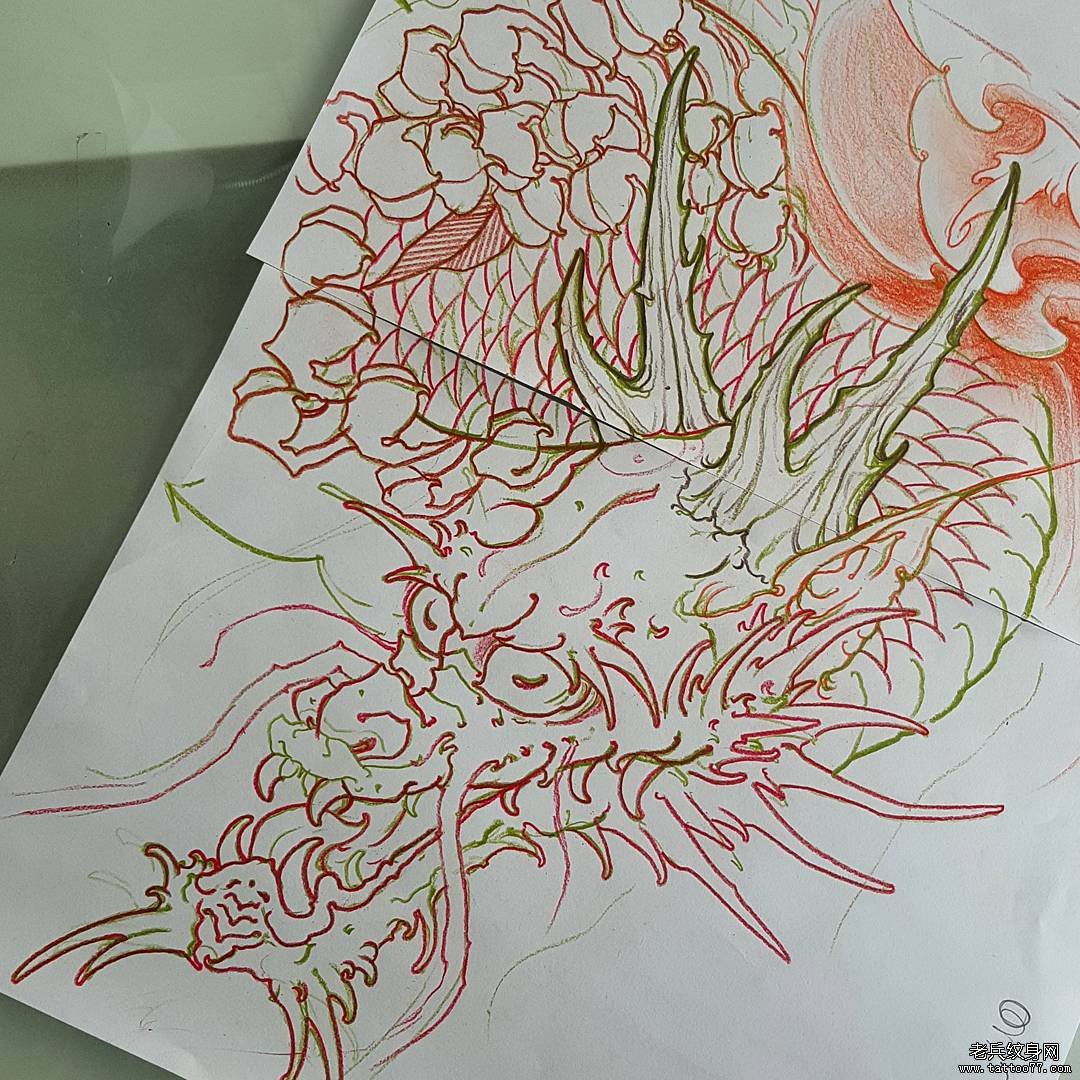  传统龙头菊花纹身图案手稿