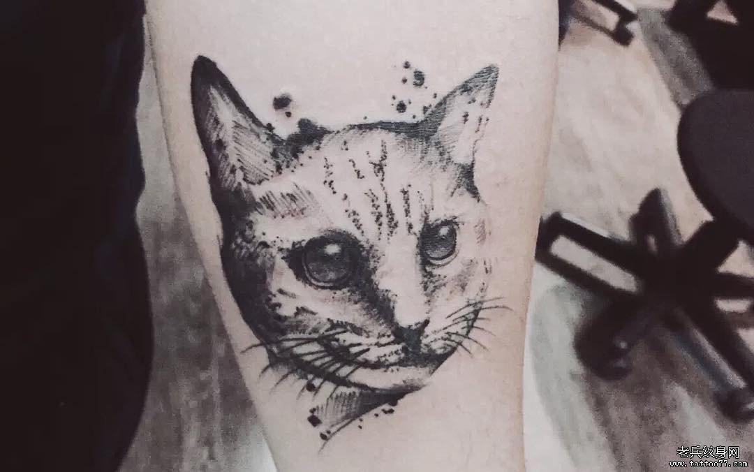 小臂黑灰小清新猫纹身图案