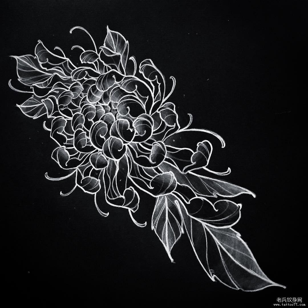 传统纹身菊花图案线稿
