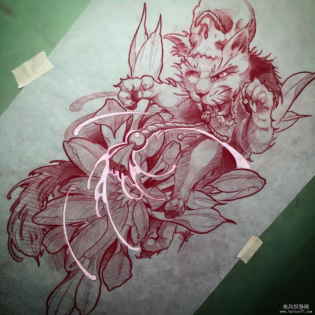 猫菊花纹身图案手稿