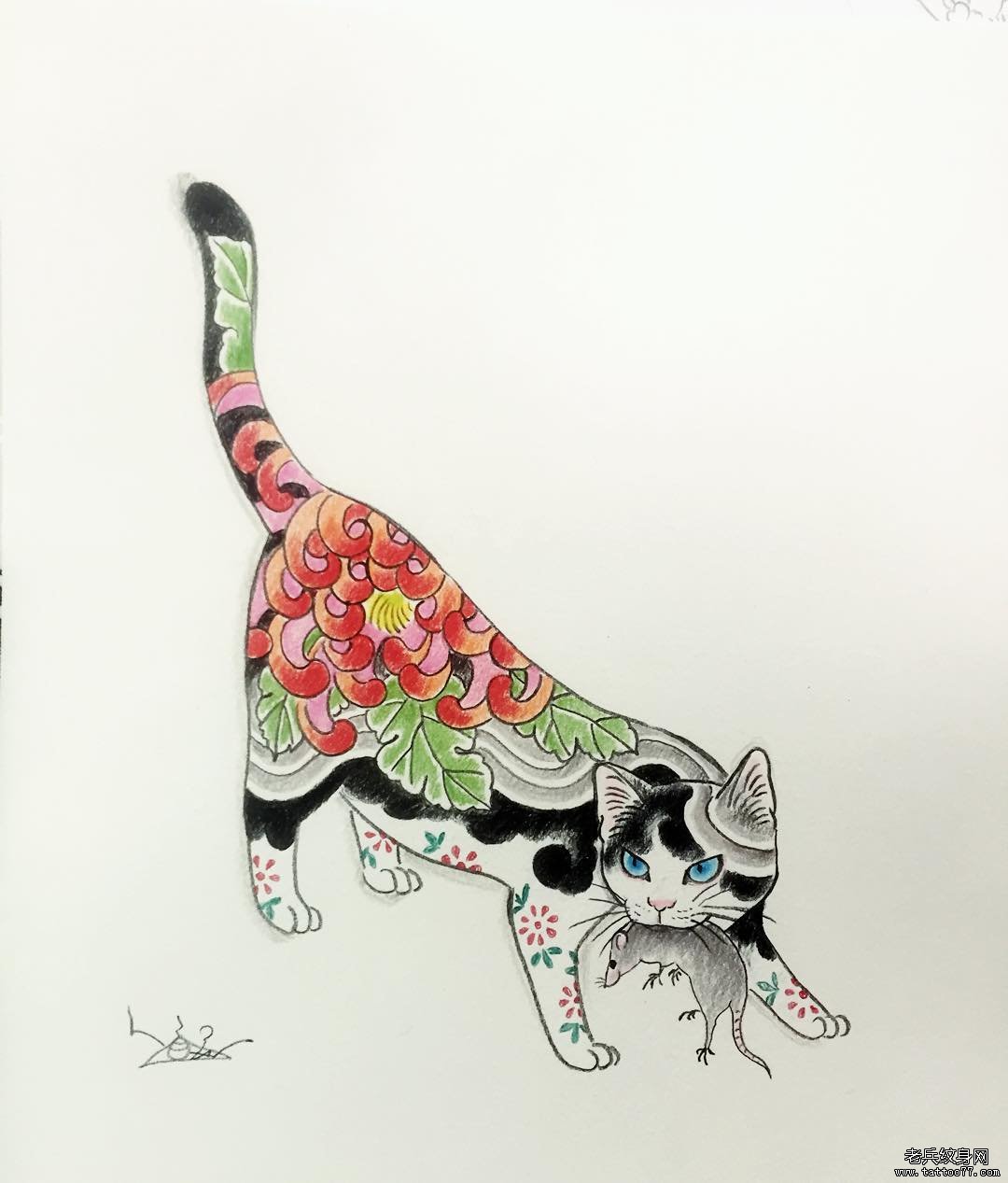 老传统菊花猫纹身图案手稿
