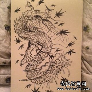 传统枫叶龙纹身图案手稿