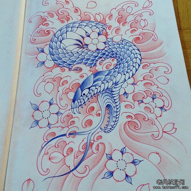 传统蛇樱花纹身图案手稿