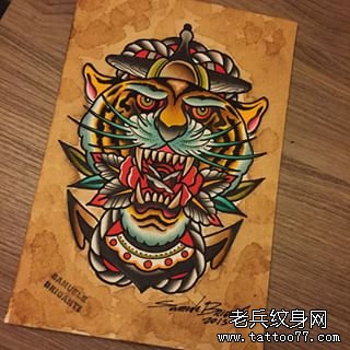 old school彩色老虎船锚纹身图案手稿