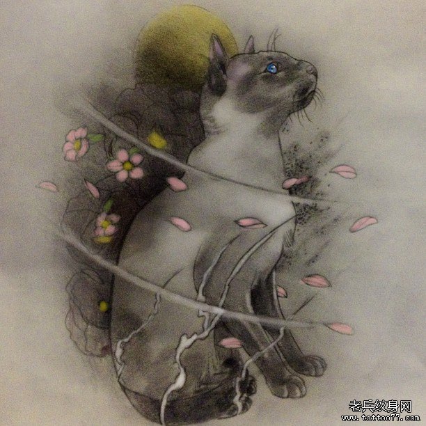 猫传统樱花月亮纹身图案手稿