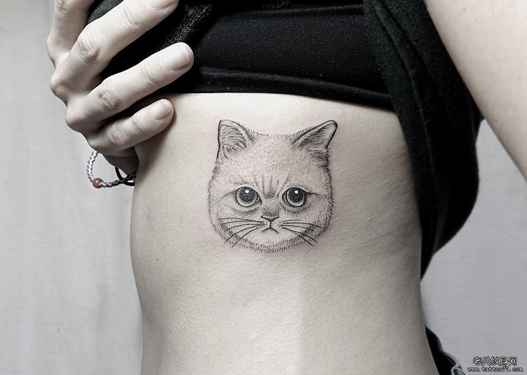 小清新侧腰猫咪纹身图片