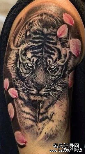 手臂老虎纹身图案作品