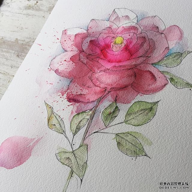 色彩花卉手稿纹身图案