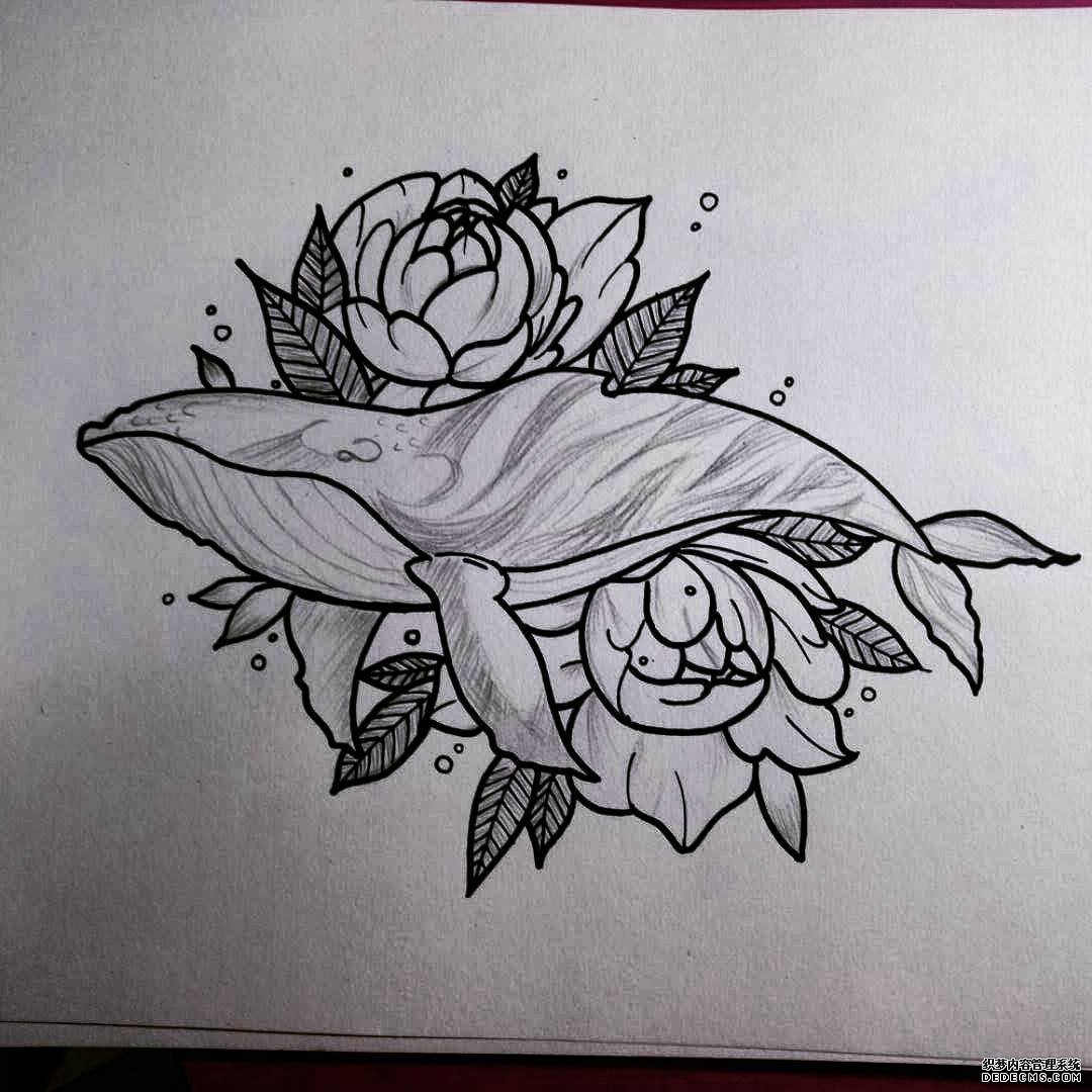 鲸鱼线条花朵纹身手稿