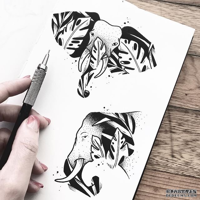 黑灰大象手稿纹身
