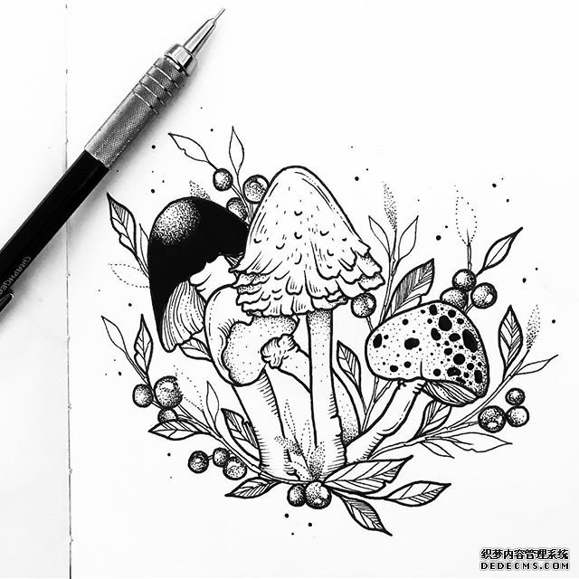 黑灰点刺蘑菇手稿纹身