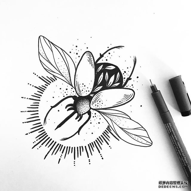 昆虫纹身手稿