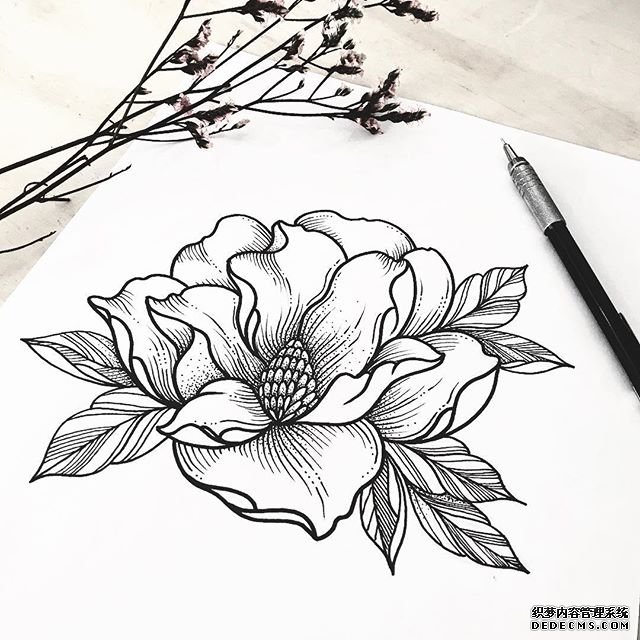 线条花卉手稿图案
