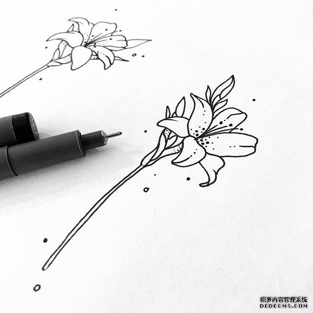 线条花卉纹身图案